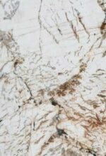 Blanc du Blanc